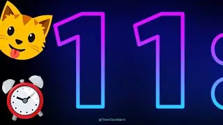 11 Hour Timer Countdown