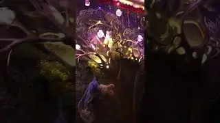 Новый год с Дарианай