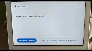Google Nest Hub Max - fuchsia and pair new device bluetooth