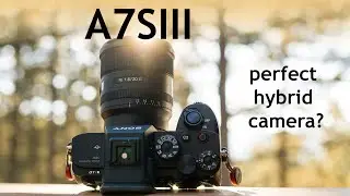 Sony A7SIII Review | Perfect Camera for Hybrid Shooters?