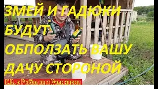 КАК ИЗБАВИТЬСЯ ОТ ЗМЕЙ НА УЧАСТКЕ САМЫЙ ЛУЧШИЙ И ЭФФЕКТИВНЫЙ СПОСОБ, РАБОТАЕТ ВСЕГДА И ВЕЗДЕ.