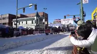 Iditarod 2018 In 4K