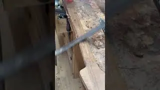 Carving a roasted maple #bass neck #luthier #luthiery #bassguitar #bassist #woodworking #custom