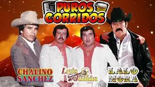 Chalino Sanchez - Luis & Julian - Lalo Mora || Mejores Corridos Chingones - Puros Corridos Mix