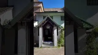 The House of Owls (La Casa delle Civette)