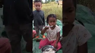 Picnic Farmers life style At Rice Field l 