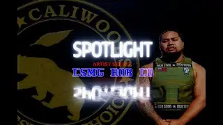 Spotlight: Artist Series  LSMG Rob Lo