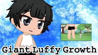 Giant Luffy Growth.Animation (Gacha club)