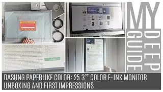 Dasung Paperlike Color: 25.3