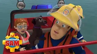 Feuerwehrmann Sam rettet einen Hund! | Feuerwehrmann Sam | Cartoons für Kinder