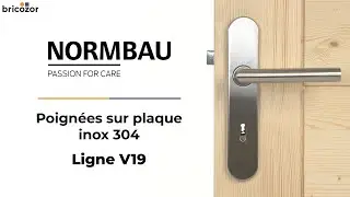 PRESENTATION : Poignée de porte sur plaque Inox 304 - Entraxe de fixation 195 - Ligne V19 NORMBAU