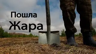 Копаем на месте старого хутора с металлоискателем xp deus