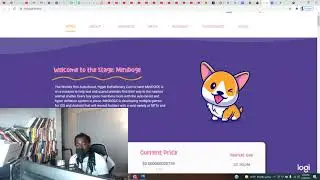 Mini Doge Token New Crypto Review | Looks Like A Breakout Is Near