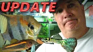 OCT 2024 UPDATE