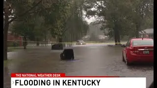 Near record rainfall creates flash flood in 