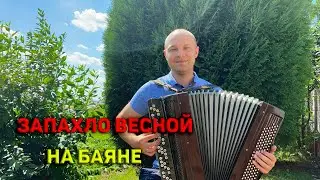ЗАПАХЛО ВЕСНОЙ - группа Бутырка на баяне