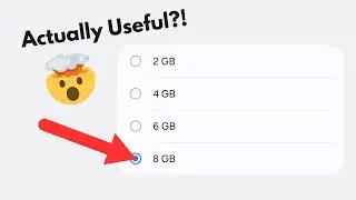 Everyone is WRONG about RAM Plus!