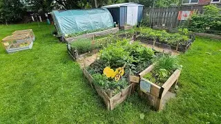 Flower, Fruit and Vegetable Garden update. Ontario zone 6a