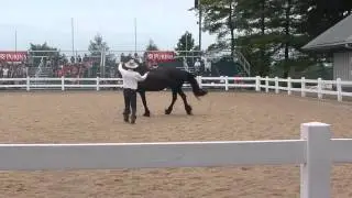 Breeds of the World part 1  - Kentucky Horse Park