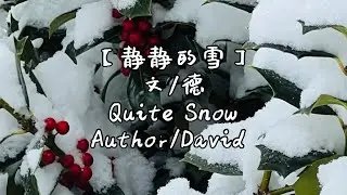 Poem: Quiet Snow 散文诗《静静的雪》