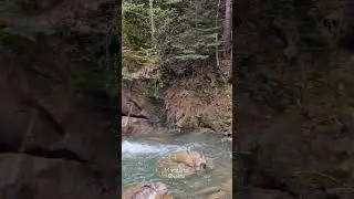 🧚‍♂️ Waterfall Covasna 8K