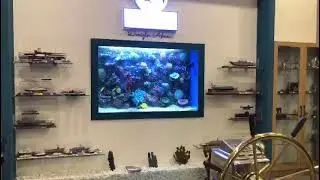 Gömme Deniz Akvaryumu