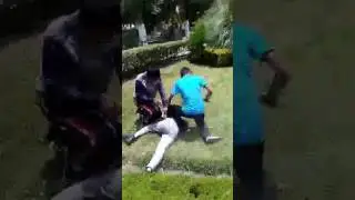 video 1497037443