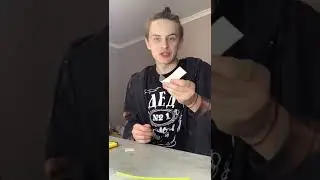 Унитаз из ЛОТКА для КОШКИ!