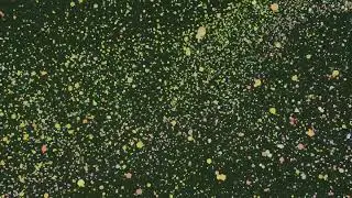 Infinity of particles - Blender