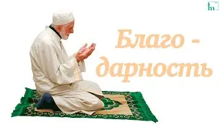 Благодарность |  Хаммад хазрат