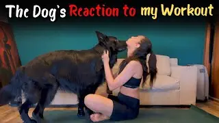 The Dog's Reaction to my Workout