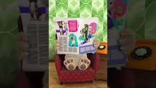 Untitled video