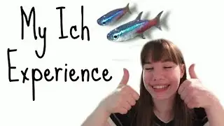 How I Got Rid Of Ich