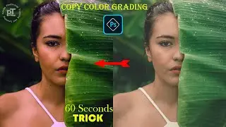 Copy Color Grading Photoshop 