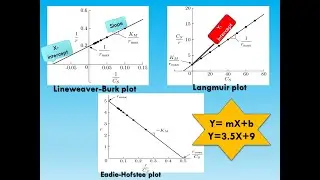 How to find Slope & Y-Intercept for Langmuir, Eadie Hofstee & Lineweaver Buk plots by Excel በአማርኛ