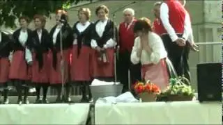 20100516-iamis-514.mp4