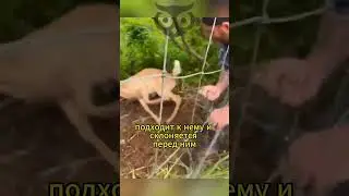 Мир не без добрых людей!  