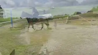 Timmy Jumping
