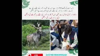 دکاندار:کوئی خاص بات نہیں بس تو پھر مارخور کے سینگ یا گدھے کی ٹانگیں ایک برابر ہیں۔ شیر افضل #