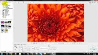 How to make logo with PhotoScape