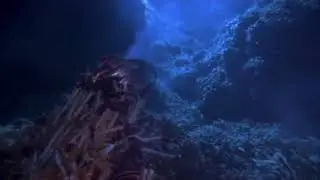 Hydrothermal Vent Animals