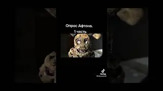 допрос афтона