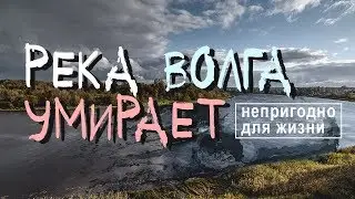 The Volga River is dying! An environmental disaster is inevitable.