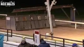 2015 Newbridge Unraced Bitch Stake- Round 1
