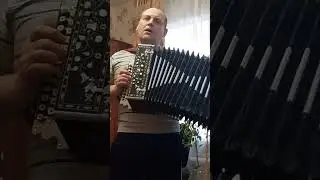 Иволга.