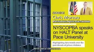 HALT Panel - Prison Violence Data Trends