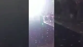 Жандар жани(5)