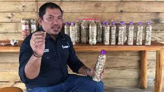 Cigbrick - A New Ritual for Smokers