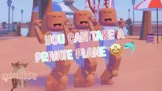 If you wanna you can take a private plane 🤩✈️💗 (ft. 