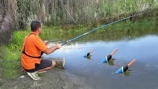 Spring Carp on the Float! Exciting Spring Float Fishing Action